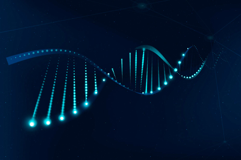 ανθρώπινο DNA