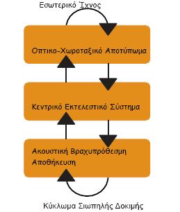 brain scie 1