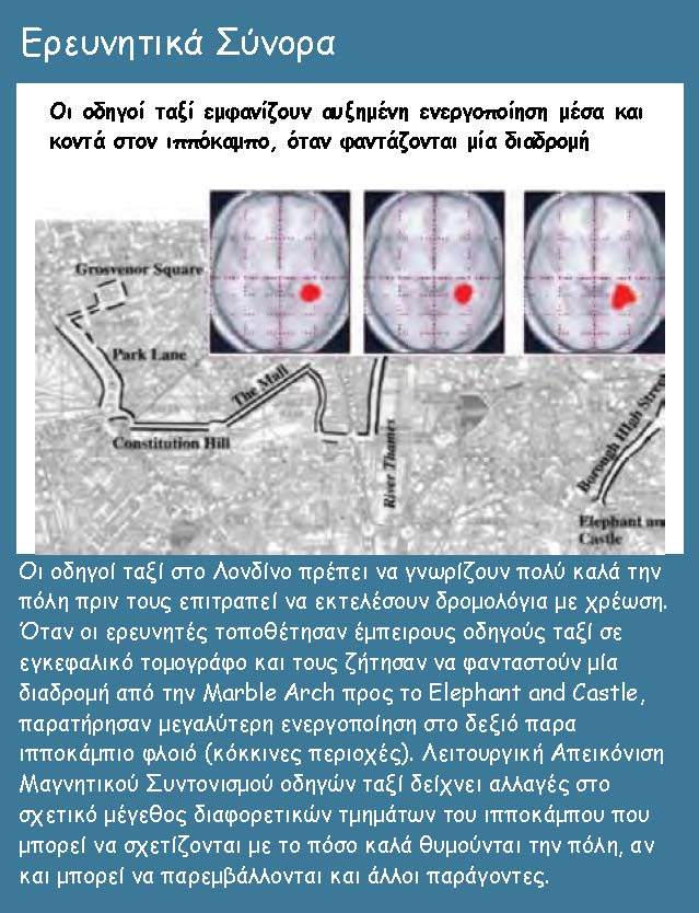 brain scie 11