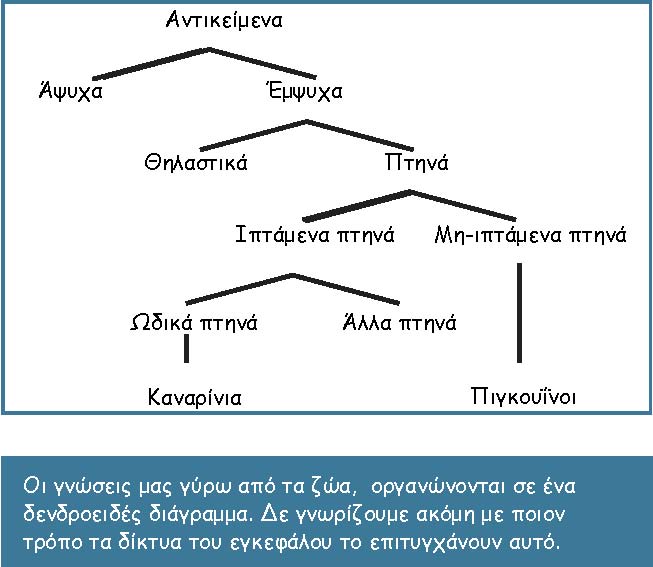 brain scie 4