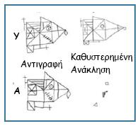 brain scie 6