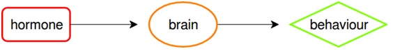 hormones3