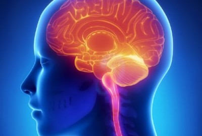 εγκέφαλος psychologynowgr