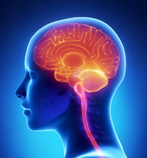 εγκέφαλος psychologynowgr