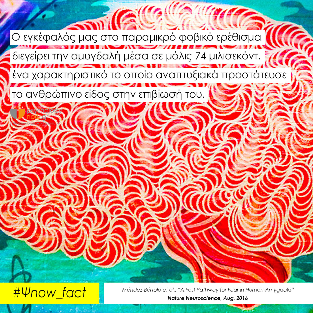 psyfact brainfear