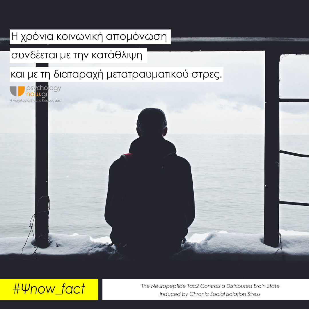 psyfact socialiso